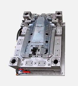 double-color-injection-module